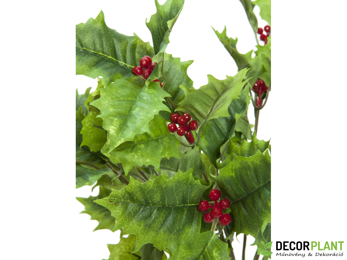EUROPALMS Holly bush 43cm