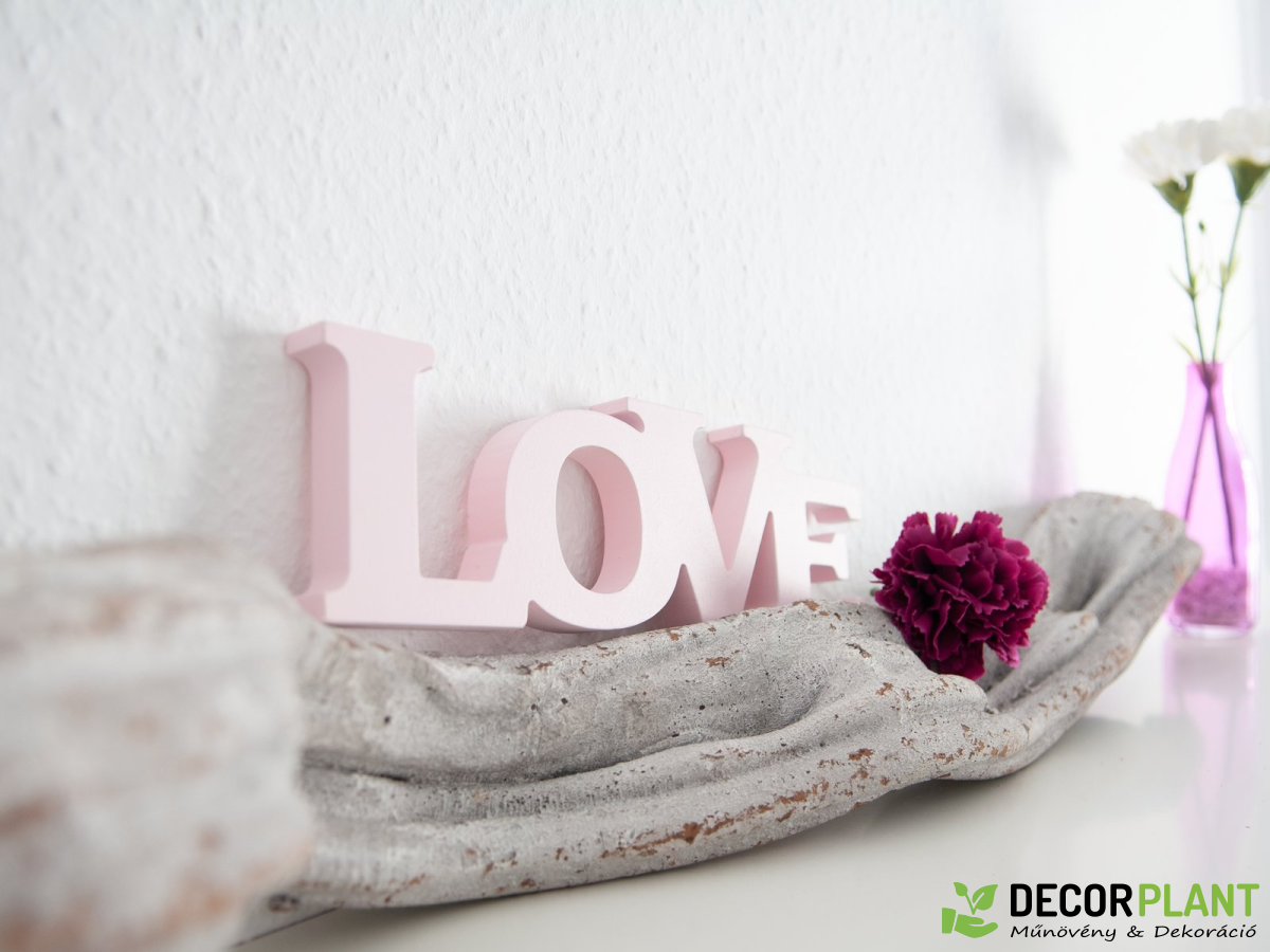 EUROPALMS Cipo rosca liana