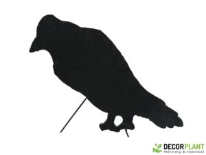 EUROPALMS Silhouette Crow