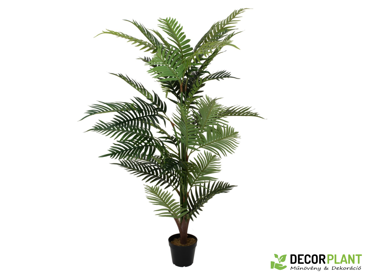 EUROPALMS Areca palm Aranypálma 150cm EUROPALMS Areca palm