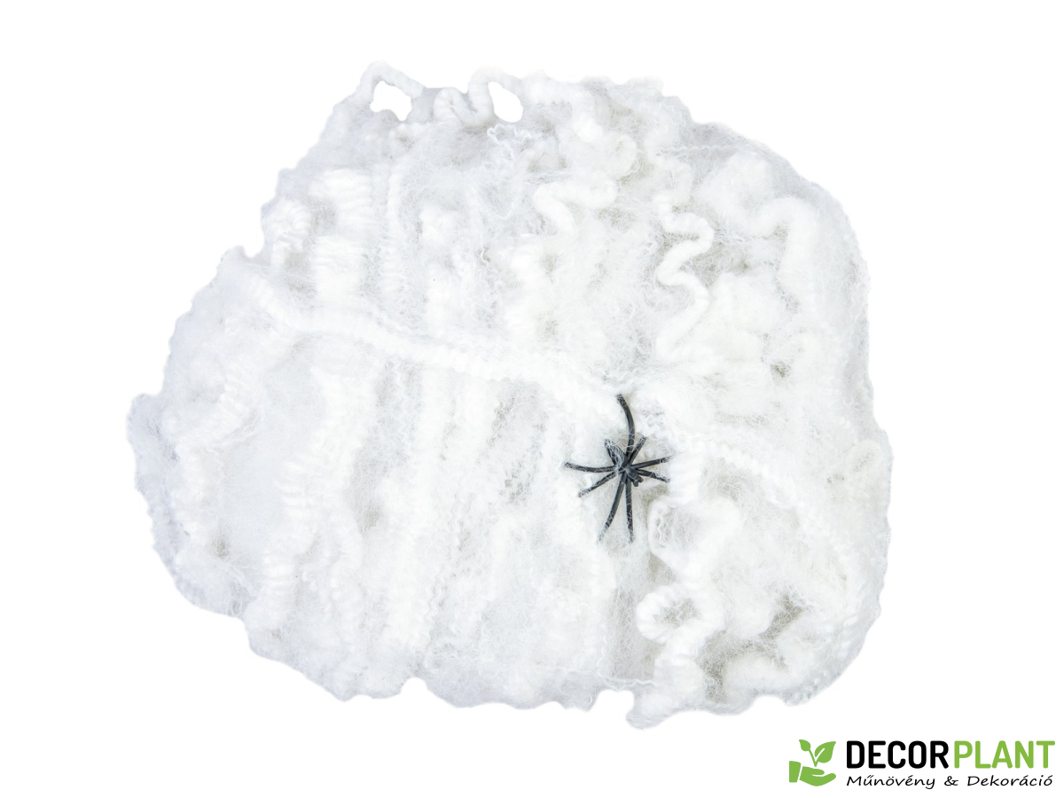 EUROPALMS Halloween spider web white 50g