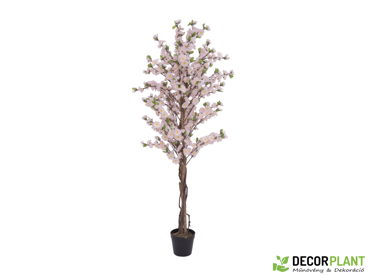 EUROPALMS Cherry tree with 3 trunks EUROPALMS Cherry tree with 3 trunks