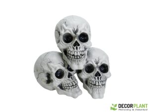EUROPALMS Halloween Skull