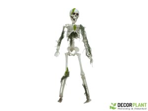 EUROPALMS Halloween Skelteton with Moss