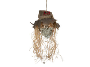 EUROPALMS Halloween Scarecrow Skull