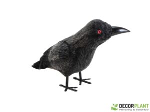 EUROPALMS Halloween Raven
